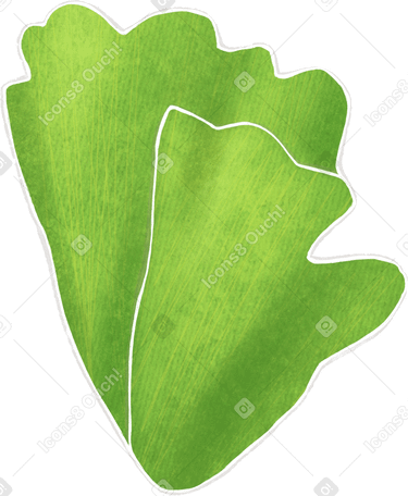 green curly lettuce PNG, SVG