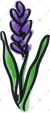 紫色水彩花薰衣草 PNG, SVG