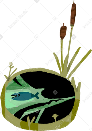 pond Illustration in PNG, SVG