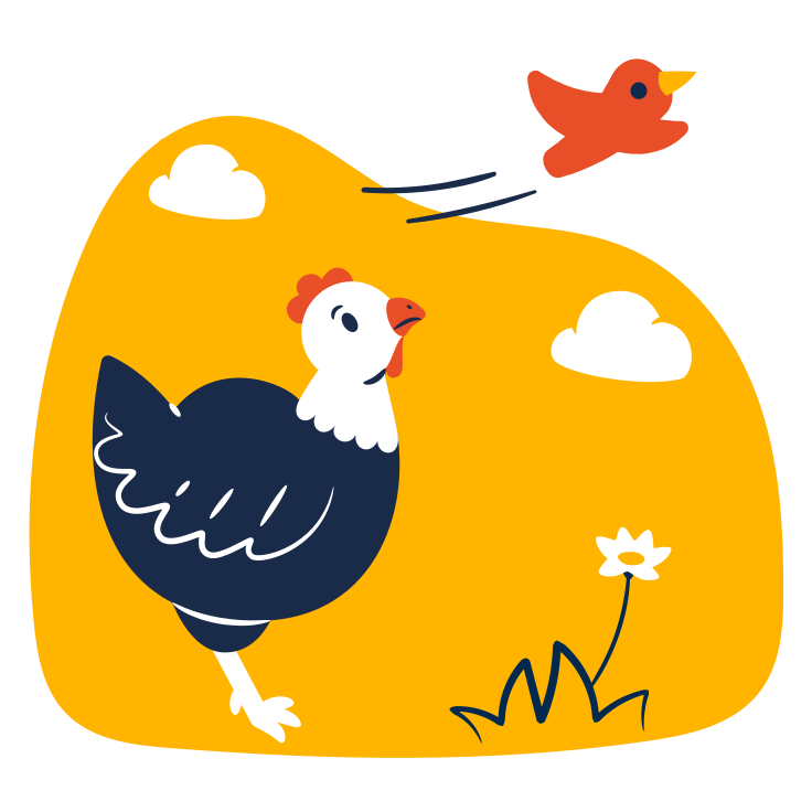 Chicken Vector Illustrations