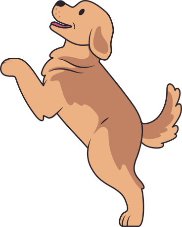 golden retriever puppy PNG, SVG
