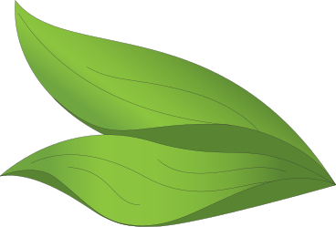 Thick grass leaves PNG, SVG