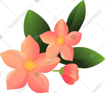 三朵粉红色的花 PNG, SVG