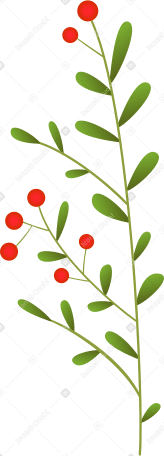 Веточка с маленькими листьями и маленькими красными ягодами в PNG, SVG