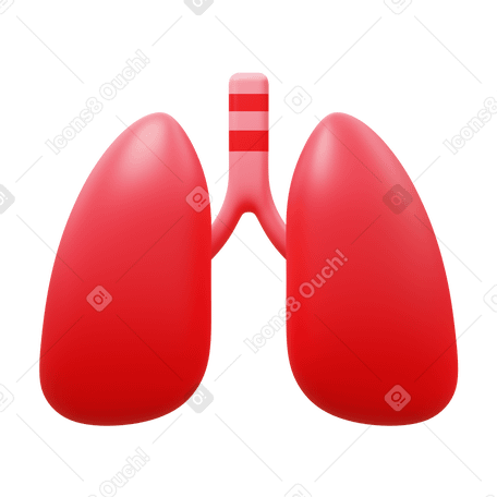 3D lungs PNG, SVG