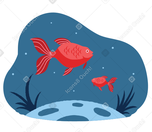 Fish in the water PNG, SVG