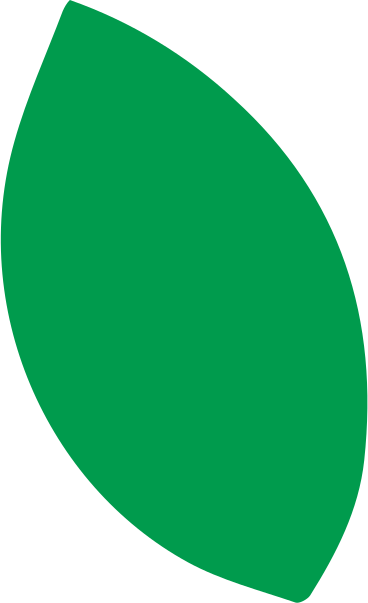 Green leaf PNG, SVG