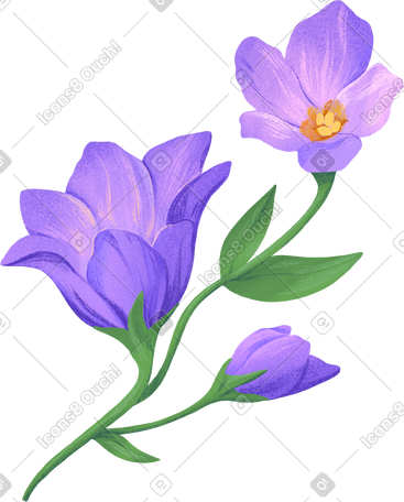 sprig of eustoma with three lilac flowers PNG, SVG