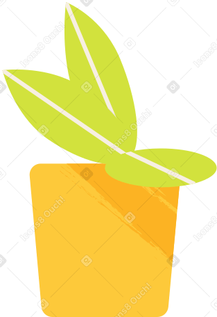 green leaves in a yellow pot Illustration in PNG, SVG