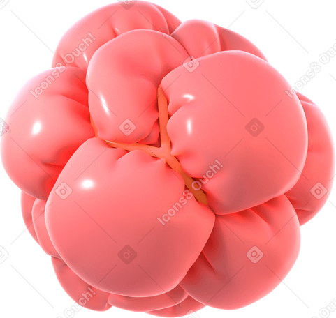 3D inflated shape with rubber band PNG, SVG
