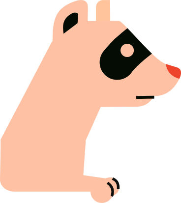 raccoon PNG, SVG
