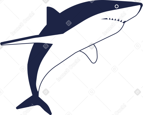 Акула в PNG, SVG