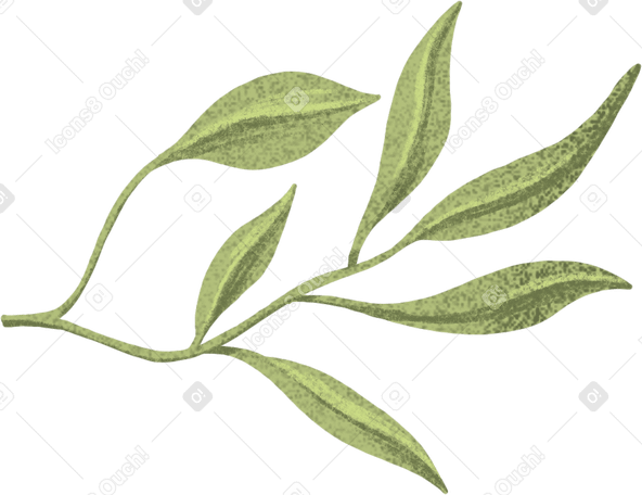 thin branch with elongated green leaves PNG, SVG