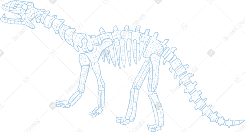 dinosaur skeleton PNG、SVG