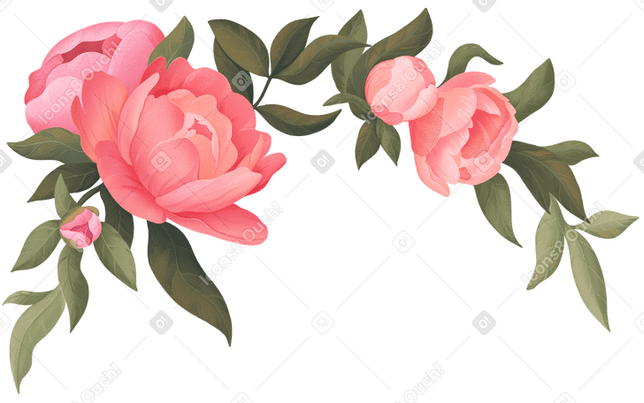 Semicircular corner composition with peonies among green leaves PNG, SVG