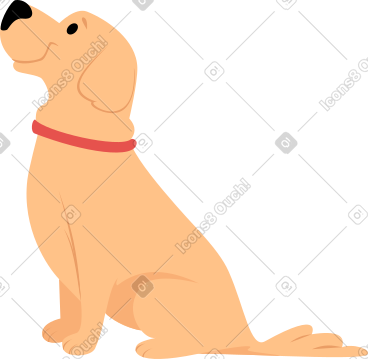 Sitting labrador dog PNG, SVG