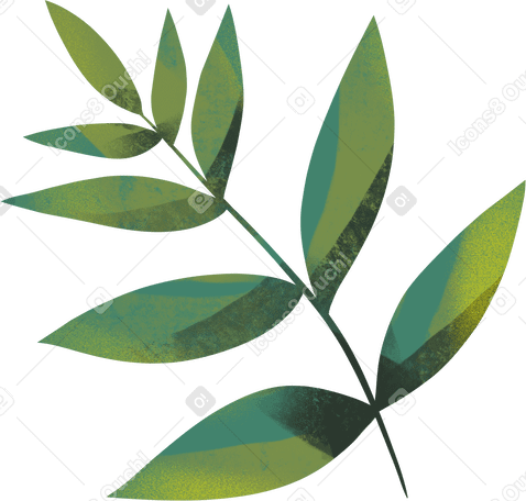 foliage Illustration in PNG, SVG