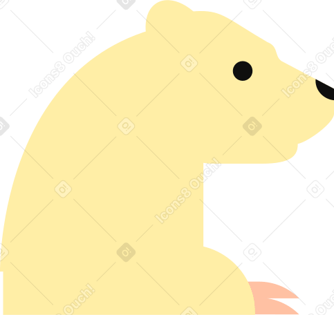 полярный медведь в PNG, SVG