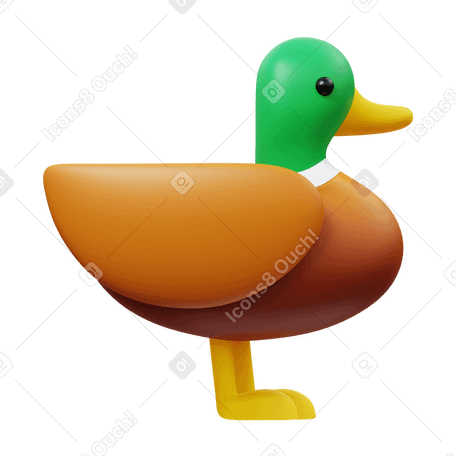 3D duck Illustration in PNG, SVG