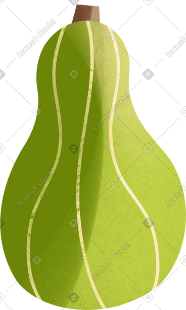 Green pumpkin PNG, SVG