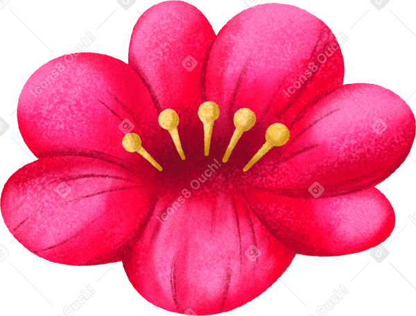 red flower PNG, SVG