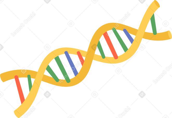 chaîne chromosomique PNG, SVG