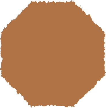 Octágono marrón PNG, SVG