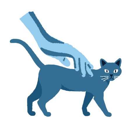 Animal care Illustration in PNG, SVG