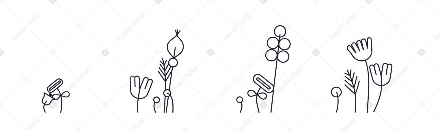 Flowers Illustration in PNG, SVG