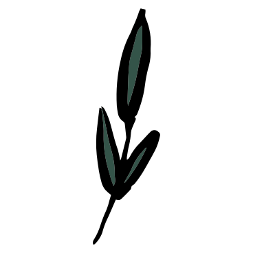 plant with three leaves PNG, SVG