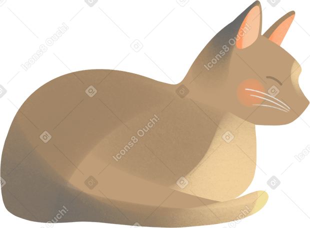 beige cat lies Illustration in PNG, SVG