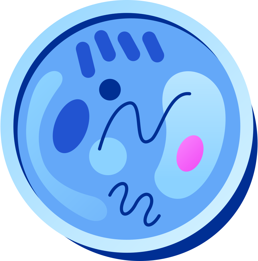 Petri dish Illustration in PNG, SVG