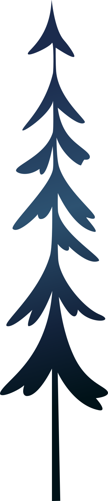 blue pine PNG, SVG