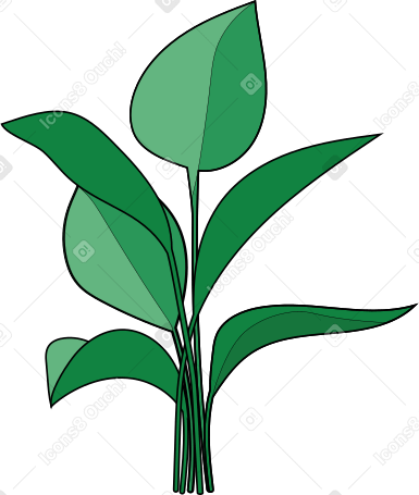 家庭植物 PNG, SVG
