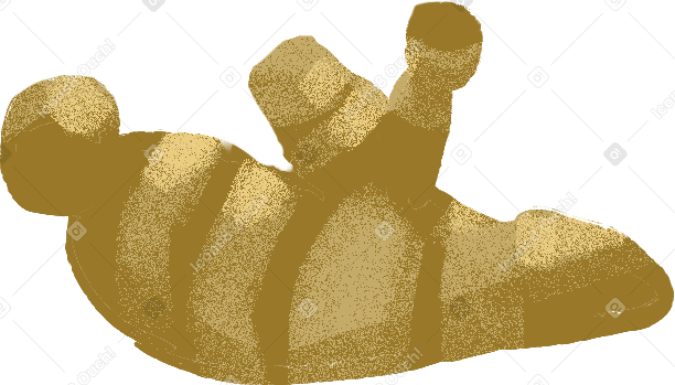 ginger Illustration in PNG, SVG
