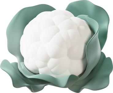White cauliflower PNG, SVG