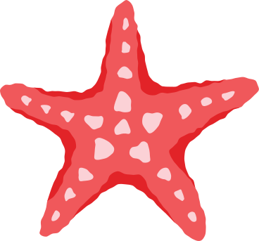 red sea star PNG, SVG