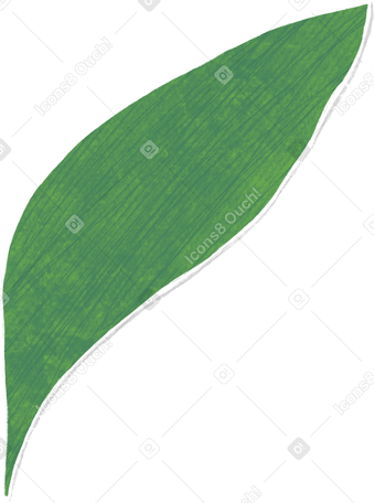 large dark green curved leaf Illustration in PNG, SVG