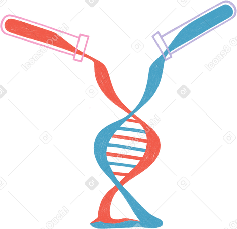 dna chain in two test tubes PNG、SVG