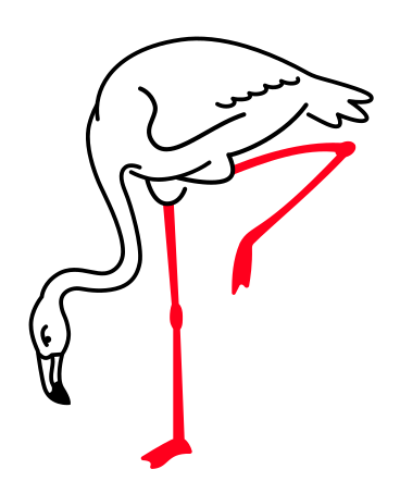 flamingos PNG, SVG