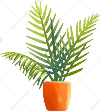 hamedorea plant in orange pot PNG, SVG