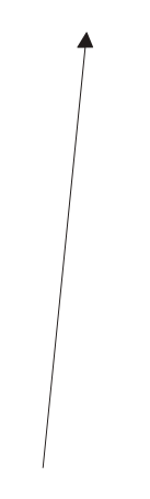 Arrow vertical Illustration in PNG, SVG