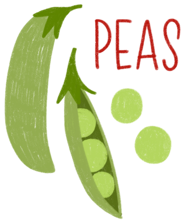 Peas and opened green pea pod with lettering PNG, SVG