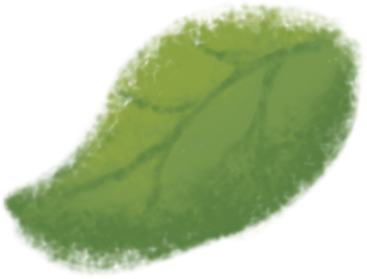 Leaf three PNG, SVG