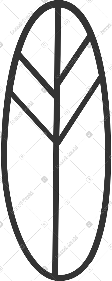 Oval white leaf with black outline PNG, SVG