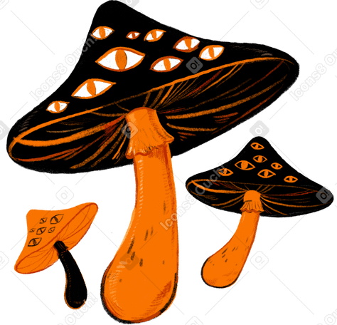 orange mushrooms with eyes PNG, SVG