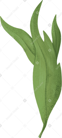 curved green peony leaf PNG、SVG