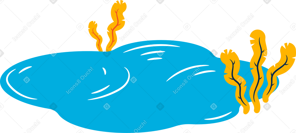 pond Illustration in PNG, SVG