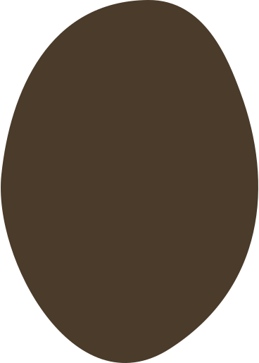 Brown ellipse PNG、SVG