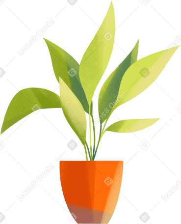 home plant in orange pot Illustration in PNG, SVG